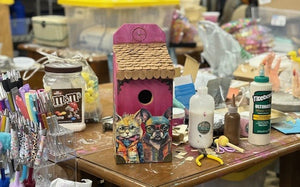 Bird House Class